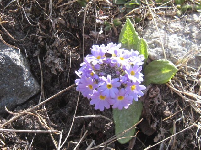 c0219866_07393450.jpg
