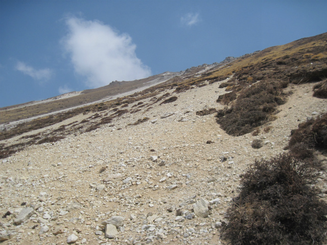 c0219866_07545313.jpg