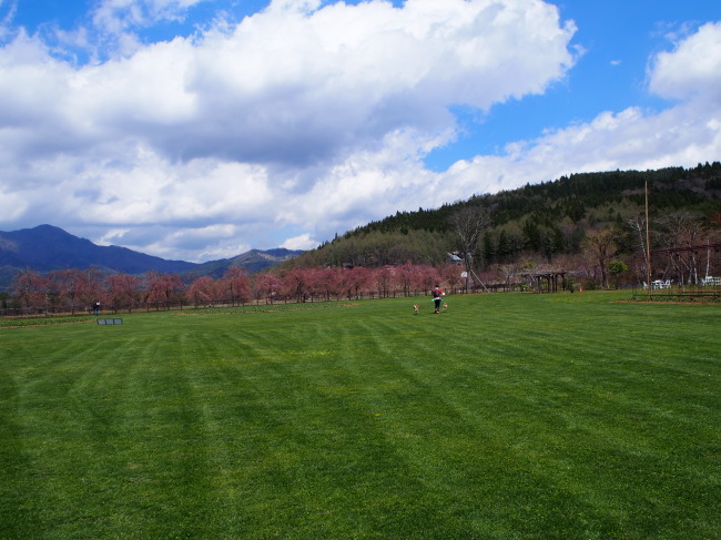 b0246876_23481118.jpg