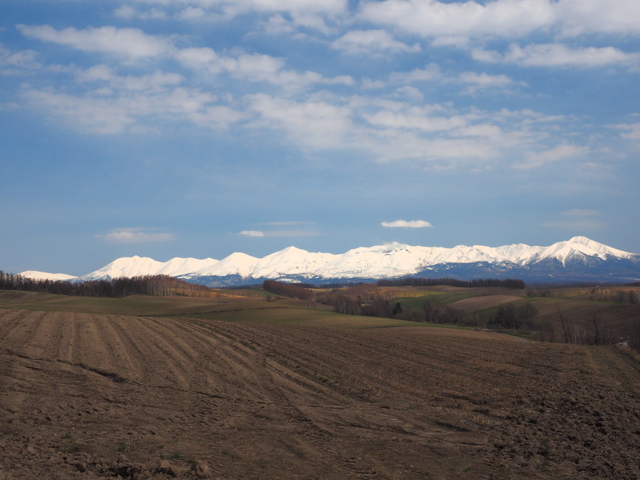 a0049978_16020479.jpg