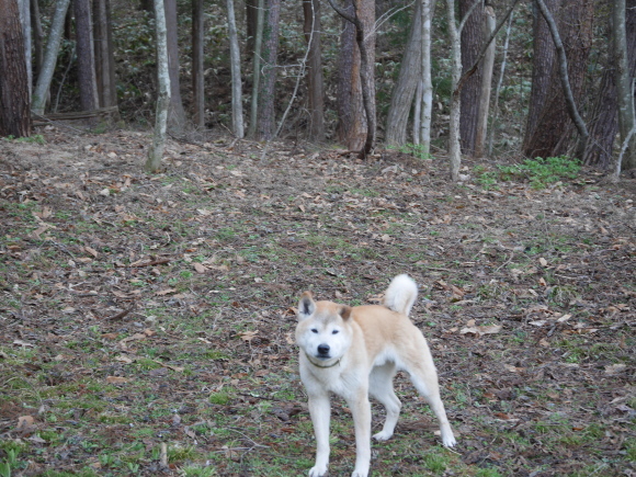 c0123890_07411597.jpeg