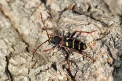 c0369491_01243276.jpg