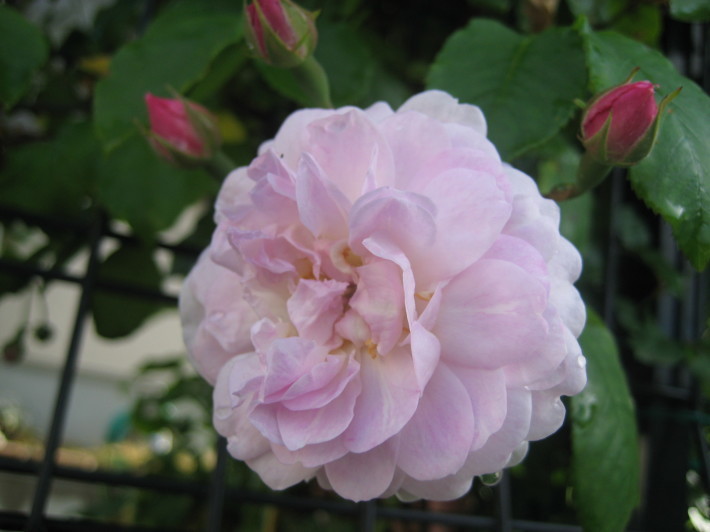 f0201297_02041749.jpg