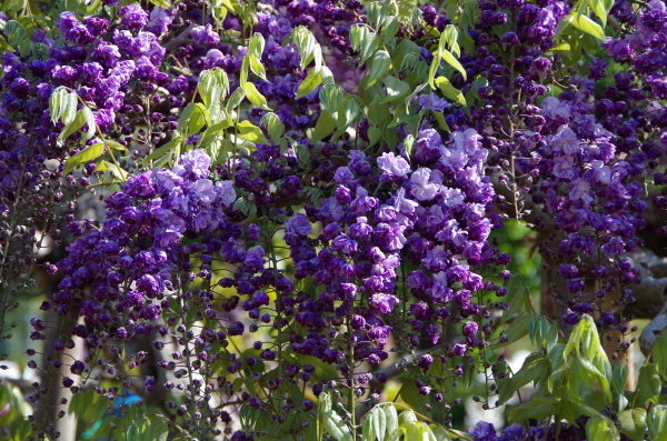 b0356401_06455913.jpg