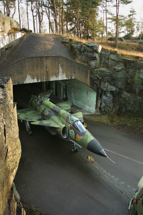 c0093101_196830.jpg