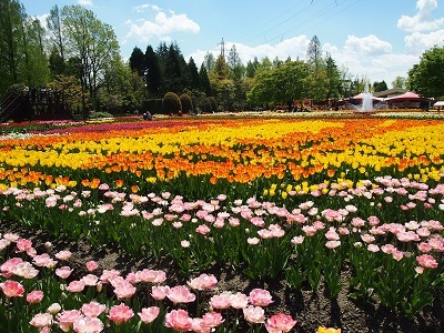 f0231309_21510692.jpg