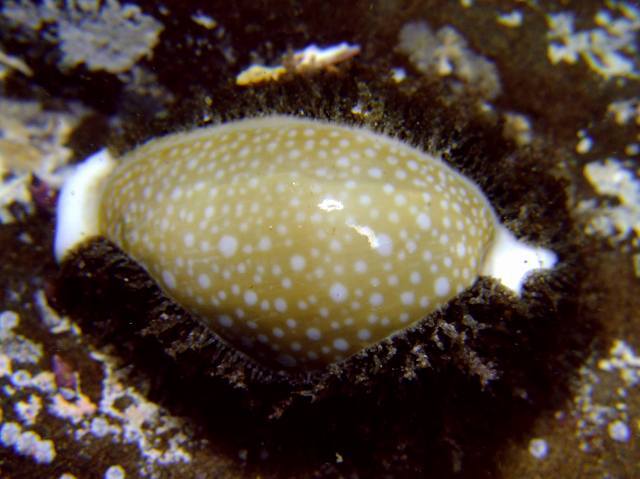 d0175710_23553255.jpg