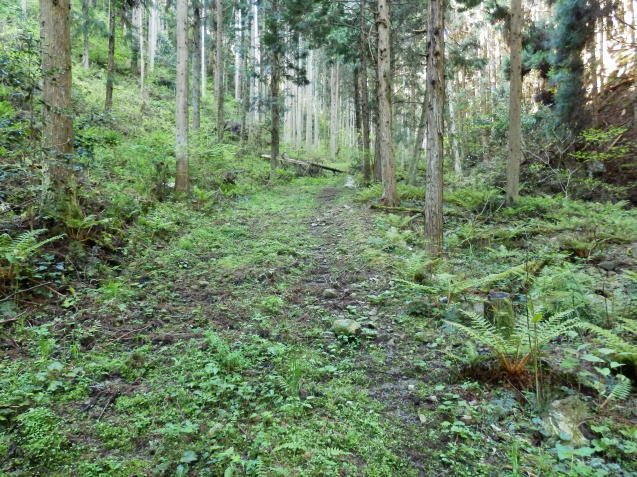 f0219710_07005933.jpg
