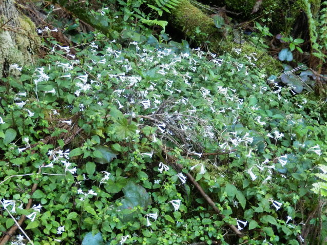 f0219710_07023446.jpg
