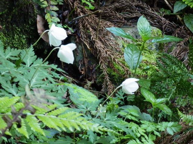 f0219710_07101721.jpg