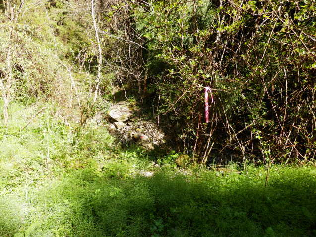 f0219710_07125249.jpg