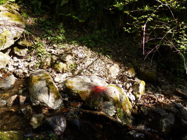 f0219710_07145600.jpg