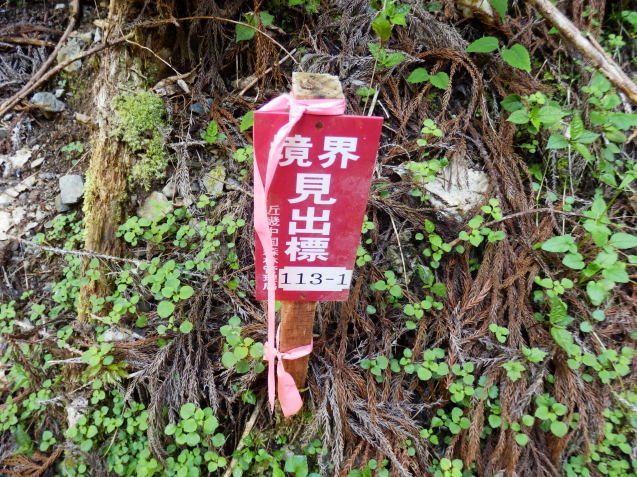f0219710_07162208.jpg