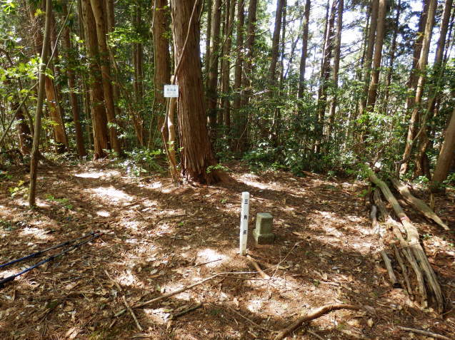 f0219710_07223876.jpg