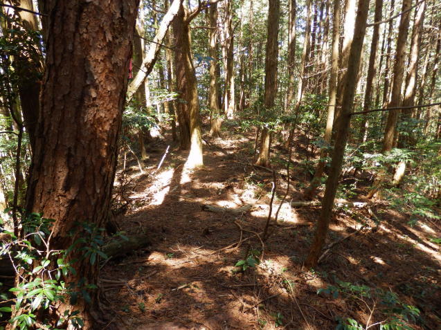 f0219710_07284416.jpg