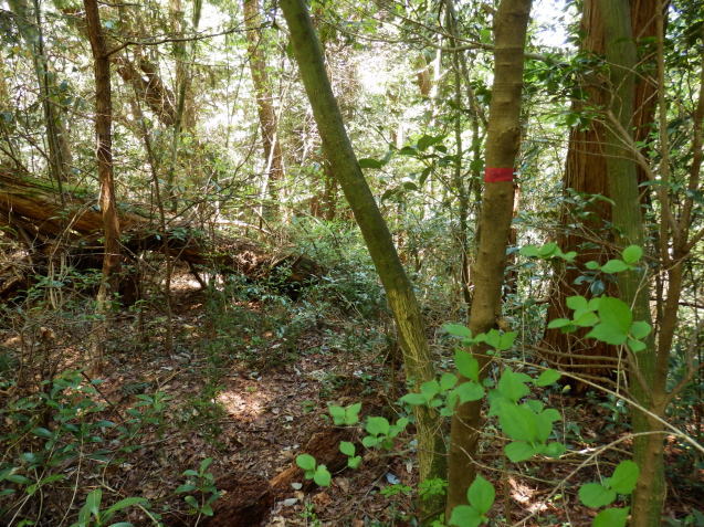 f0219710_07315398.jpg