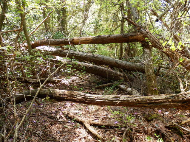 f0219710_07375467.jpg