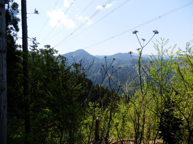 f0219710_07481423.jpg