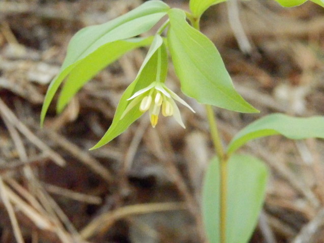 f0219710_07545418.jpg