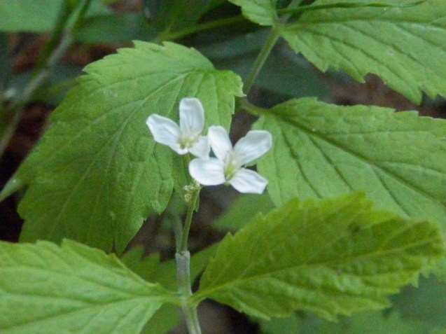f0219710_08011559.jpg