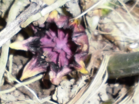 b0181818_10533270.jpg