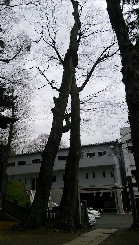 b0113219_08404820.jpg