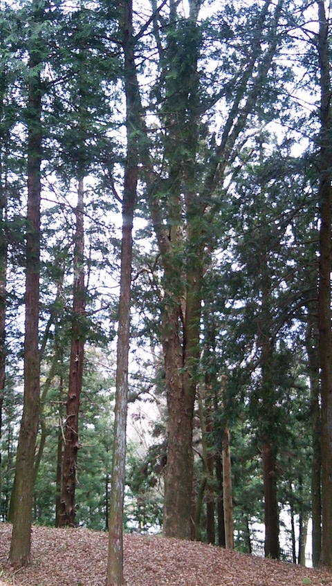 b0113219_08451170.jpg