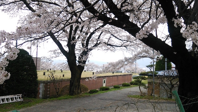 b0113219_08451274.jpg