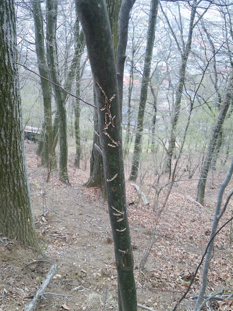 b0113219_08462501.jpg