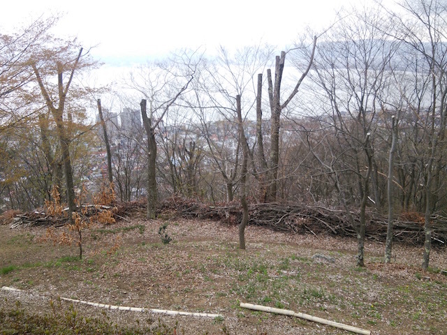 b0113219_08462515.jpg