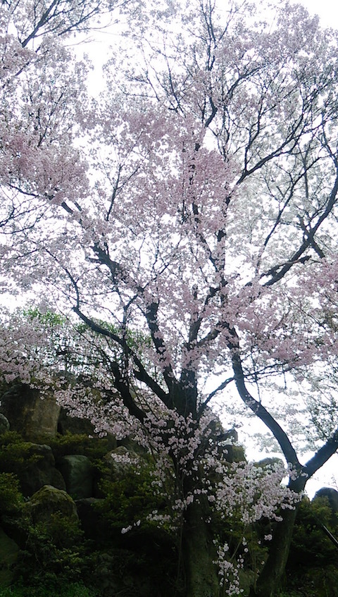 b0113219_08462632.jpg
