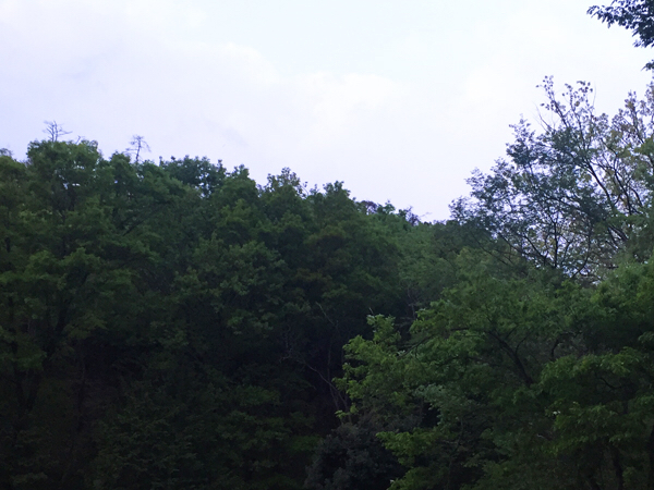 c0346119_08264505.jpg