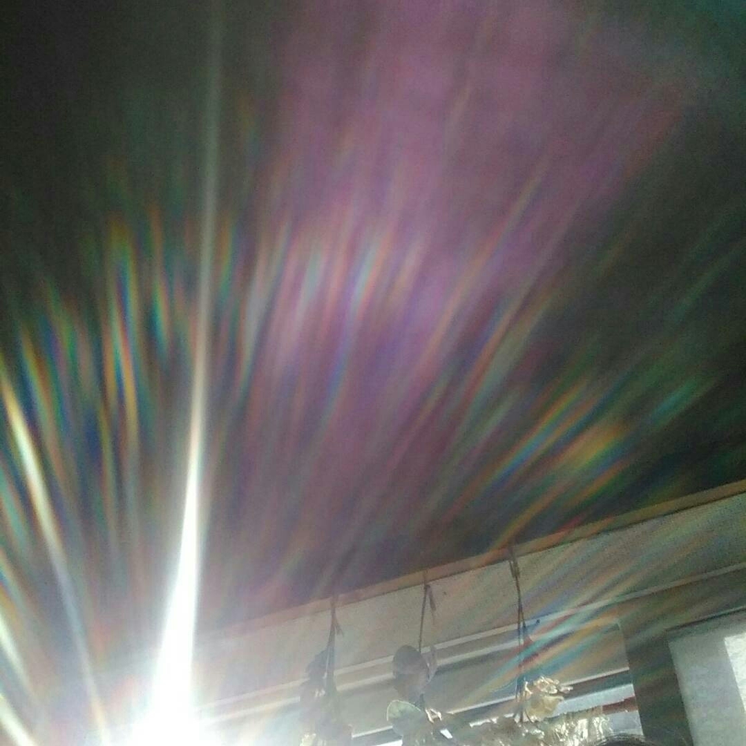 d0190719_07343063.jpg