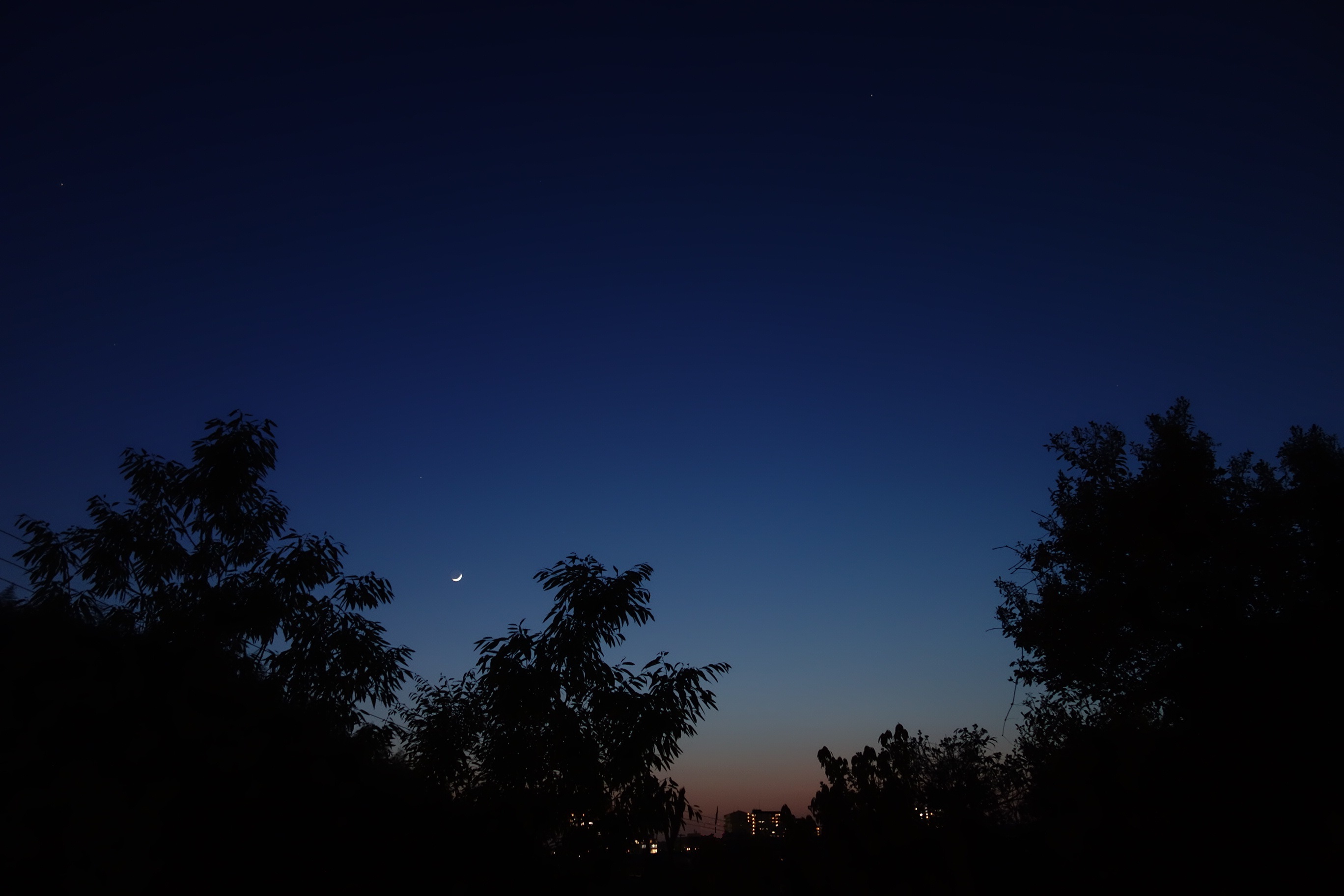 f0088731_01062880.jpg