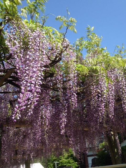 c0241434_21022650.jpg