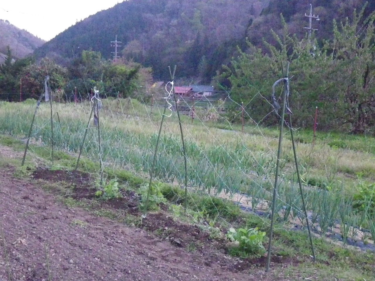c0300035_12511910.jpg
