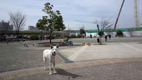 a0117039_083327.jpg