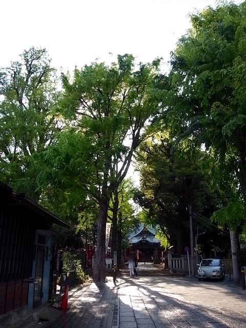 d0350542_23201298.jpg