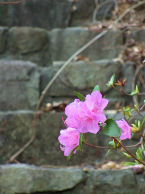 c0006745_06134570.jpg