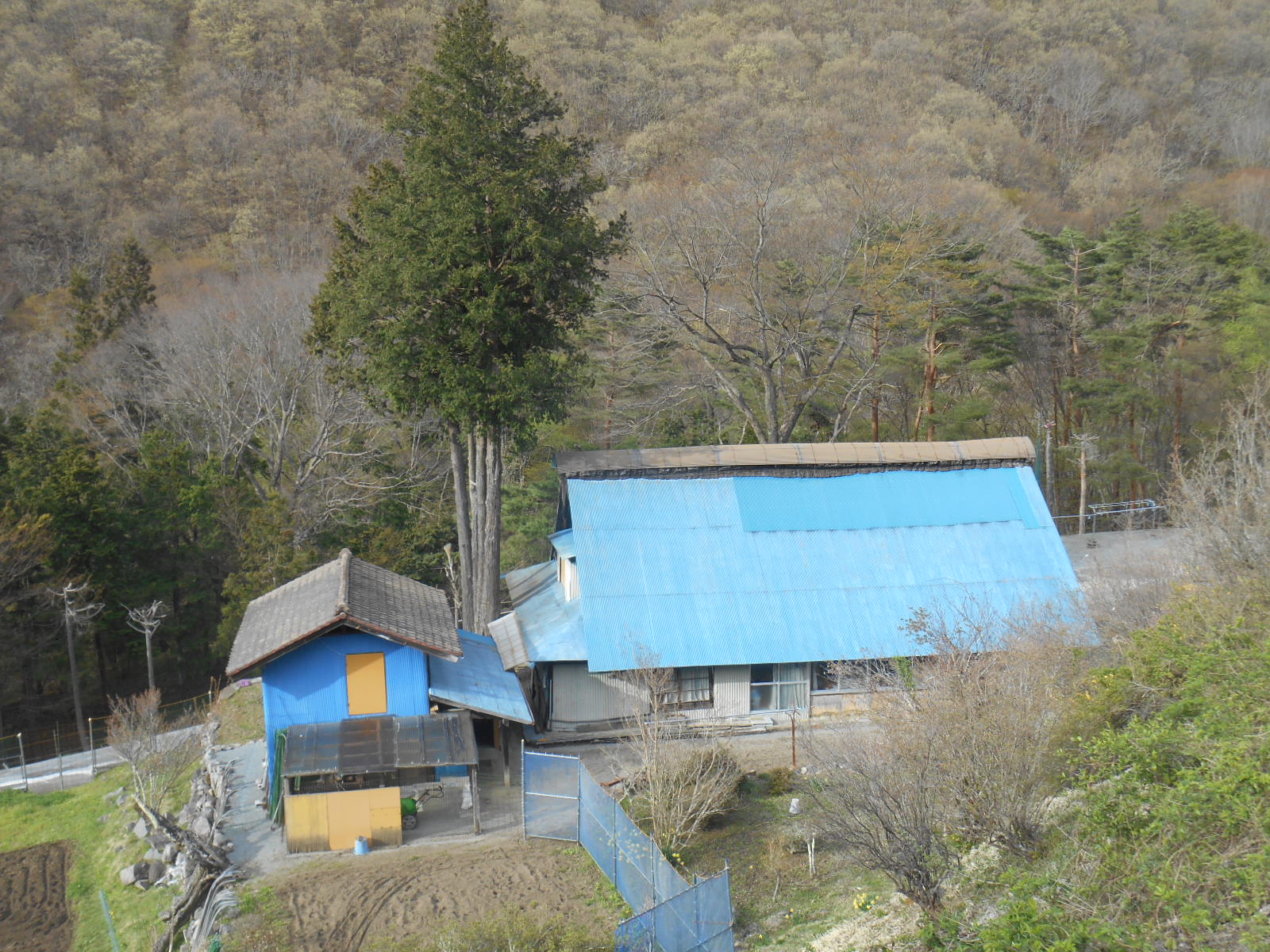 e0297347_20274042.jpg