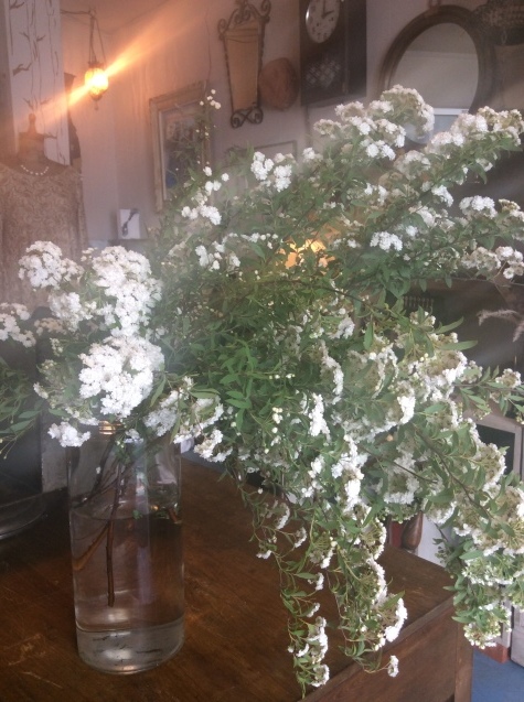 c0340351_15554538.jpeg