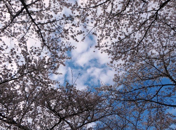 b0243152_16542264.jpg
