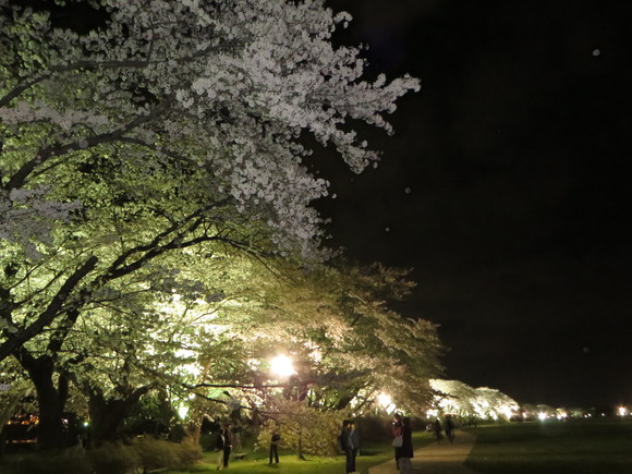 b0243152_16572797.jpg