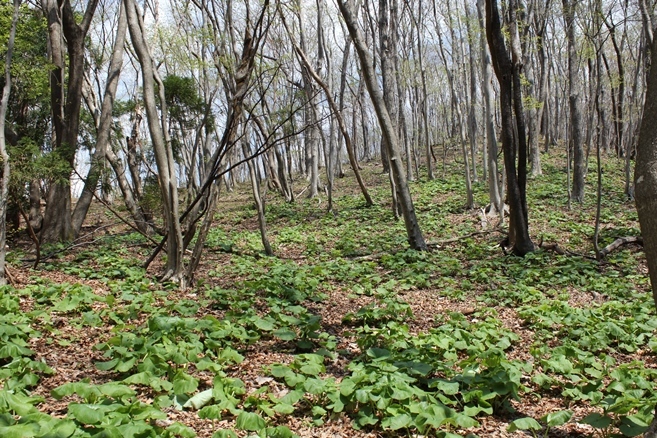 e0239458_20503774.jpg