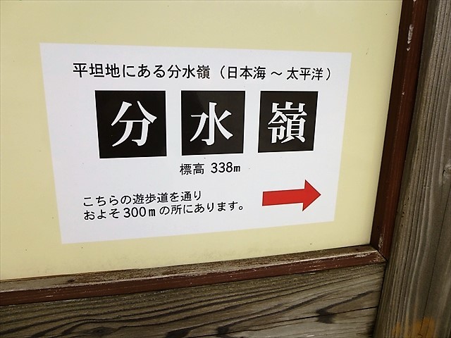 d0028665_17465241.jpg