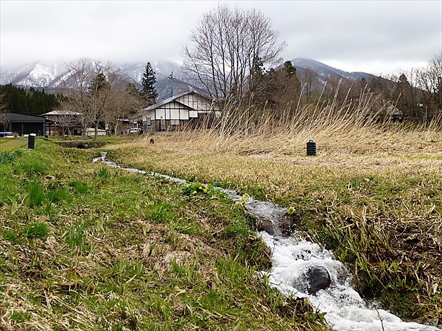 d0028665_17473997.jpg