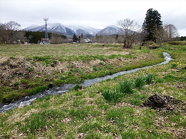 d0028665_17523390.jpg