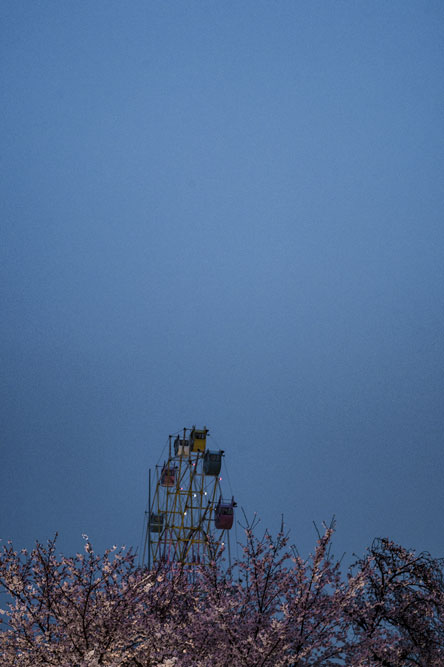c0108673_23283117.jpg