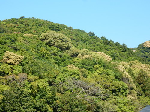 f0054677_07410654.jpg