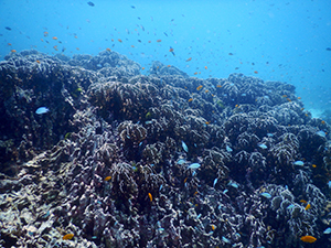 f0144385_21000390.jpg